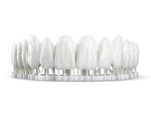 Chargez l&#39;image dans la visionneuse de la galerie, dentures made with OnX Tough 2
